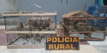 La Policía de San Juan recuperó dos motos robadas durante operativos en Rawson y Rivadavia