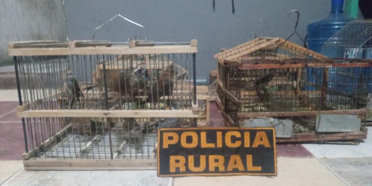 La Policía de San Juan recuperó dos motos robadas durante operativos en Rawson y Rivadavia