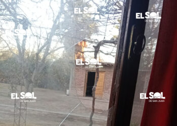 Malvivientes le robaron a un conocido rescatista, lo dejaron sin nada y le mataron a su gata