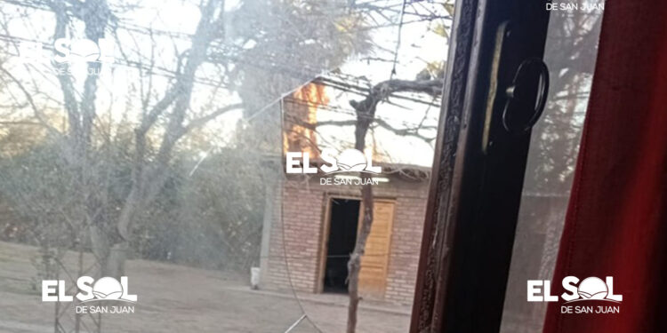 Malvivientes le robaron a un conocido rescatista, lo dejaron sin nada y le mataron a su gata