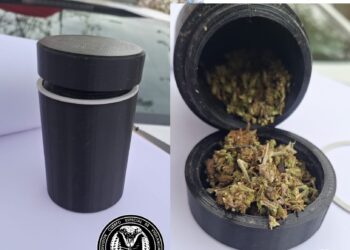 Un menor y un joven terminaron detenidos tras un audaz intento de robo en una vivienda: tenían marihuana