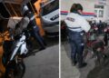 Rescatan a dos cachorros de puma que permanecían en cautiverio ilegal