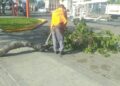 Viento Zonda en Chimbas: intenso operativo municipal tras los daños provocados
