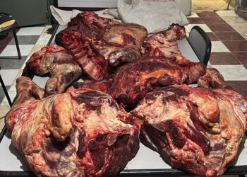 Decomisan 80 kilos de carne clandestina en Vallecito: la llevaba oculta en el asiento trasero de un auto
