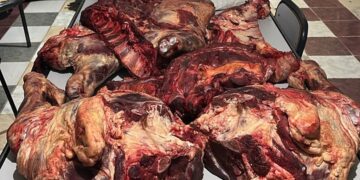 Decomisan 80 kilos de carne clandestina en Vallecito: la llevaba oculta en el asiento trasero de un auto