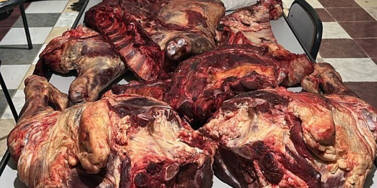 Decomisan 80 kilos de carne clandestina en Vallecito: la llevaba oculta en el asiento trasero de un auto