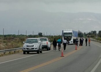 Un motociclista murió tras ser atropellado por un camión en la Ruta 20