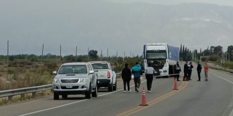Un motociclista murió tras ser atropellado por un camión en la Ruta 20