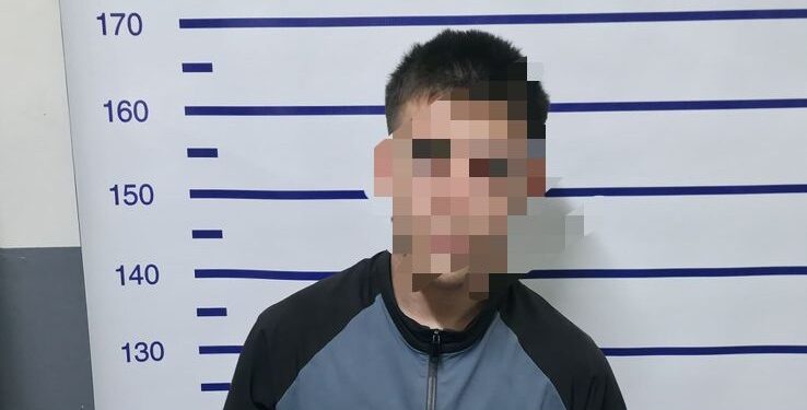 Intentó saquear una casa de alquiler temporario y terminó detenido por el GERAS