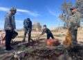 Picnic, naturaleza y trabajo comunitario: El Mogote celebrará así el Día de la Primavera