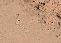 El misterioso hallazgo detectado a través Google Earth en la Cordillera de los Andes