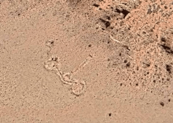 El misterioso hallazgo detectado a través Google Earth en la Cordillera de los Andes
