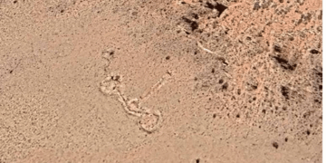 El misterioso hallazgo detectado a través Google Earth en la Cordillera de los Andes