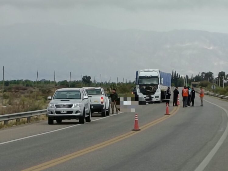 Un motociclista murió tras ser atropellado por un camión en la Ruta 20