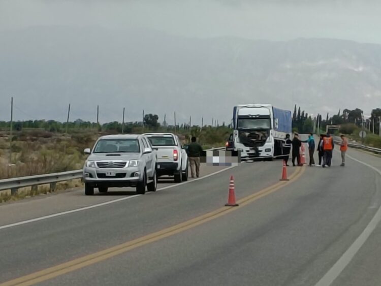 Un motociclista murió tras ser atropellado por un camión en la Ruta 20