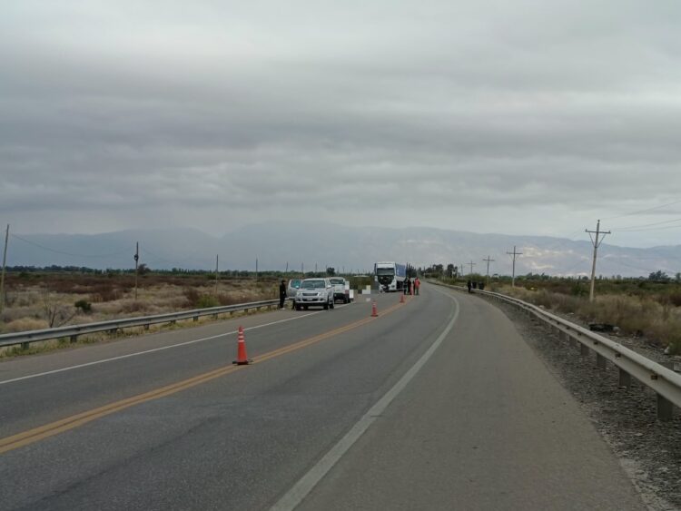 Un motociclista murió tras ser atropellado por un camión en la Ruta 20