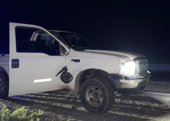 Golpe a la caza furtiva en Sarmiento: secuestran pieles de puma, aves exóticas y armas de fuego