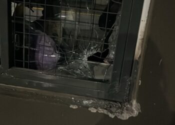 Intentó robar en un supermercado chino y terminó detenido