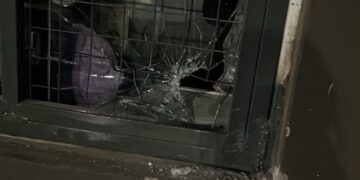 Intentó robar en un supermercado chino y terminó detenido