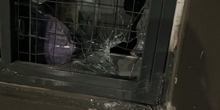 Intentó robar en un supermercado chino y terminó detenido