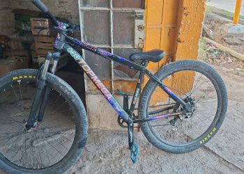 Intentaron robarle una bicicleta, el dueño se defendió y atrapó a dos menores