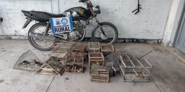 Allanamientos en Angaco: rescataron aves silvestres enjauladas y recuperaron una moto robada