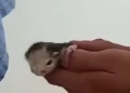 Foto gentileza