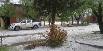 Impresionante granizada afectó a sectores de Mendoza